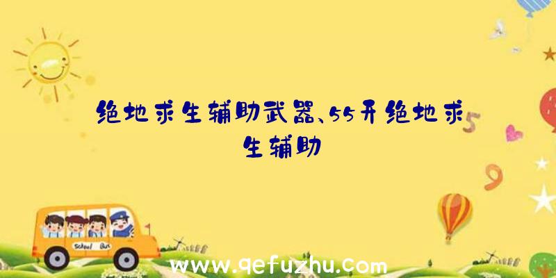 绝地求生辅助武器、55开绝地求生辅助