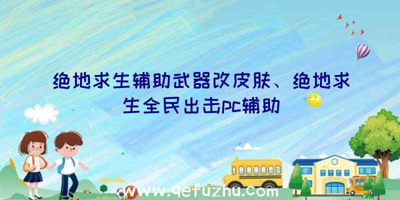 绝地求生辅助武器改皮肤、绝地求生全民出击pc辅助