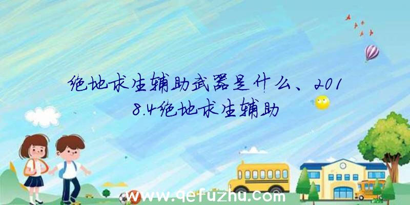 绝地求生辅助武器是什么、2018.4绝地求生辅助