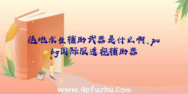 绝地求生辅助武器是什么啊、pubg国际服透视辅助器