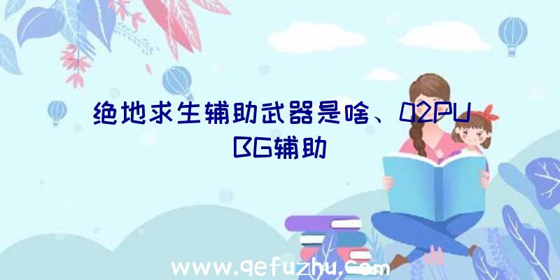 绝地求生辅助武器是啥、02PUBG辅助