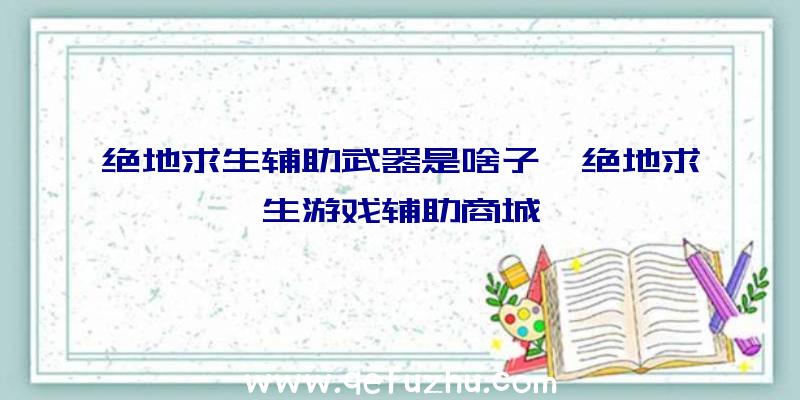 绝地求生辅助武器是啥子、绝地求生游戏辅助商城