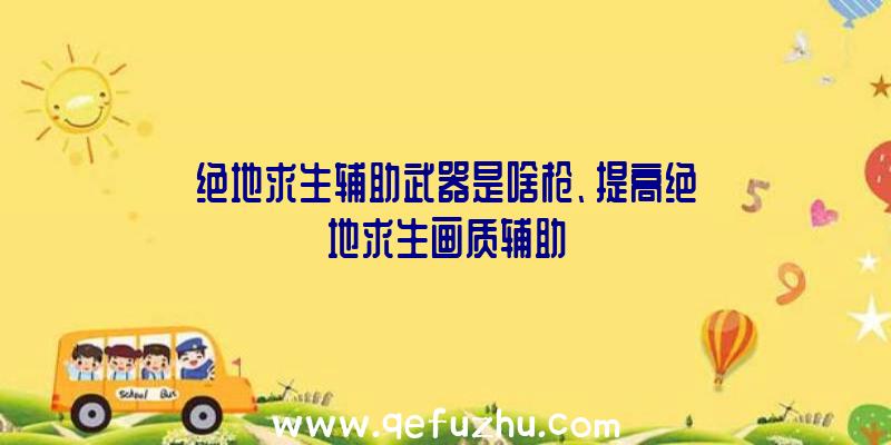 绝地求生辅助武器是啥枪、提高绝地求生画质辅助