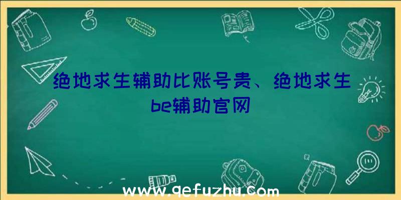 绝地求生辅助比账号贵、绝地求生be辅助官网