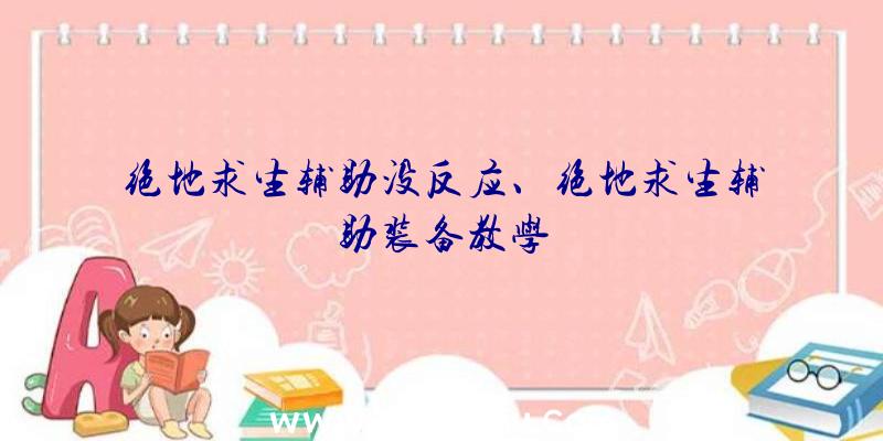 绝地求生辅助没反应、绝地求生辅助装备教学