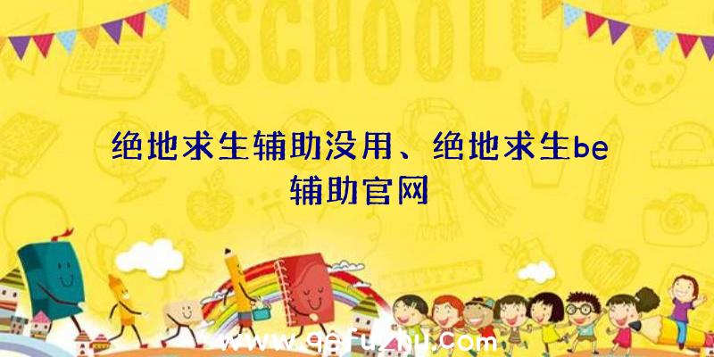 绝地求生辅助没用、绝地求生be辅助官网