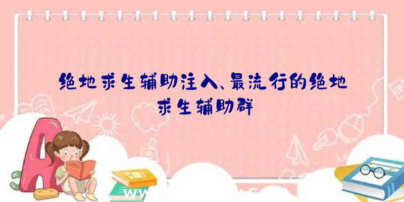 绝地求生辅助注入、最流行的绝地求生辅助群