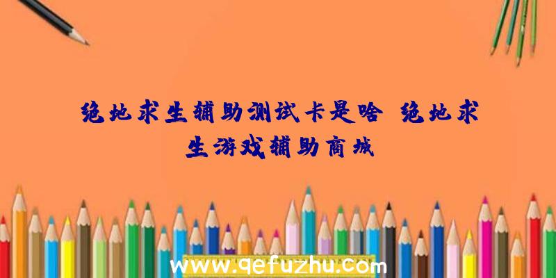 绝地求生辅助测试卡是啥、绝地求生游戏辅助商城