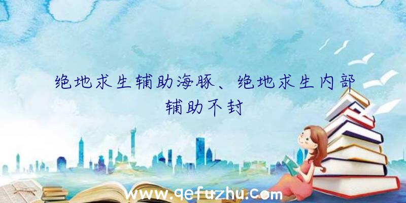 绝地求生辅助海豚、绝地求生内部辅助不封