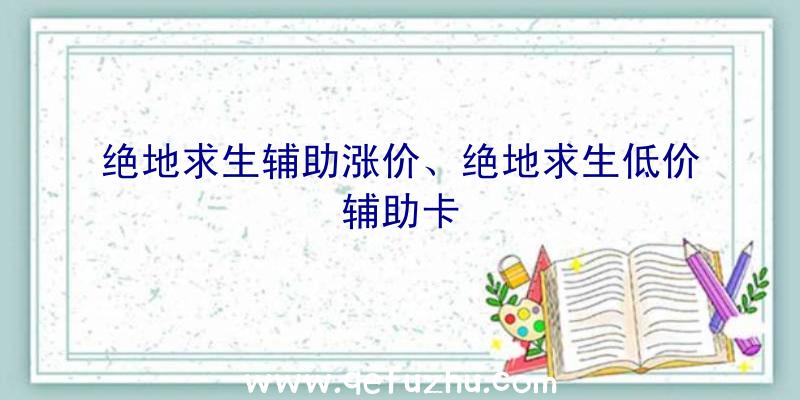 绝地求生辅助涨价、绝地求生低价辅助卡