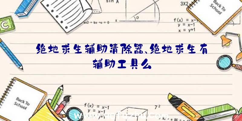 绝地求生辅助清除器、绝地求生有辅助工具么