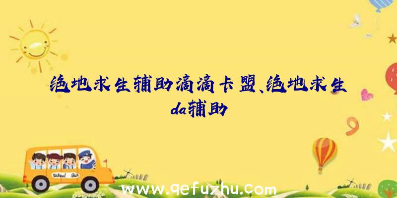 绝地求生辅助滴滴卡盟、绝地求生da辅助