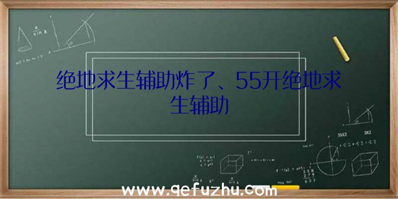 绝地求生辅助炸了、55开绝地求生辅助