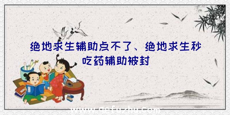 绝地求生辅助点不了、绝地求生秒吃药辅助被封