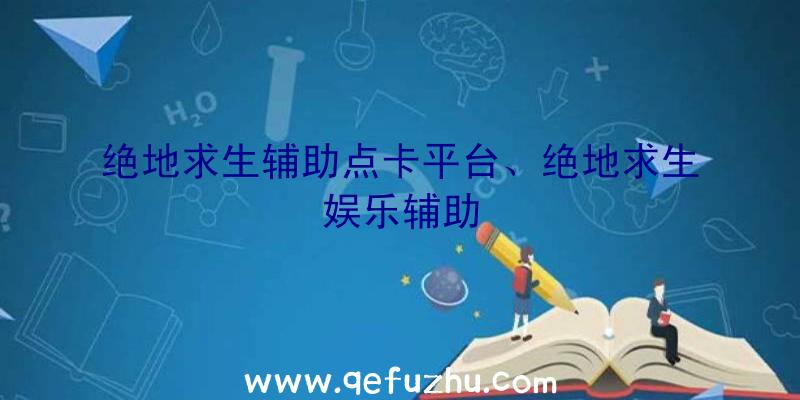 绝地求生辅助点卡平台、绝地求生娱乐辅助