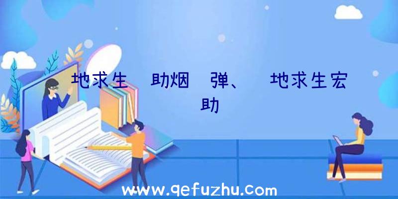 绝地求生辅助烟雾弹、绝地求生宏辅助