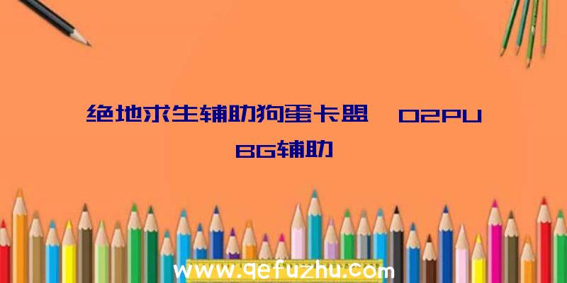 绝地求生辅助狗蛋卡盟、02PUBG辅助