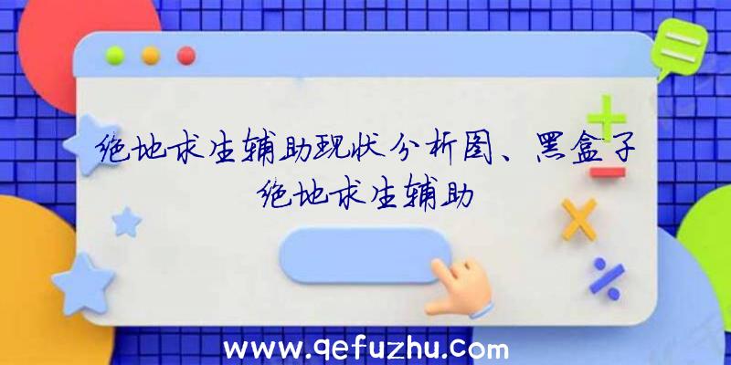 绝地求生辅助现状分析图、黑盒子绝地求生辅助