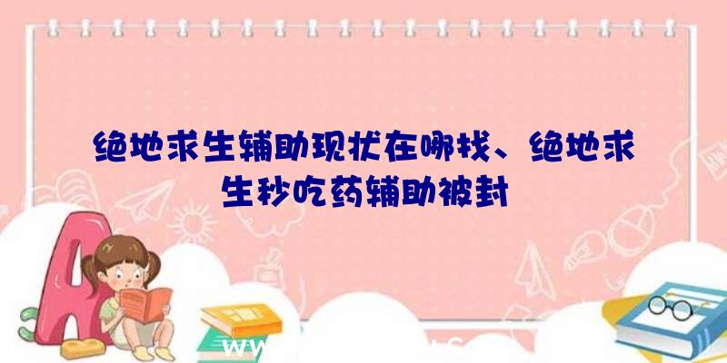 绝地求生辅助现状在哪找、绝地求生秒吃药辅助被封