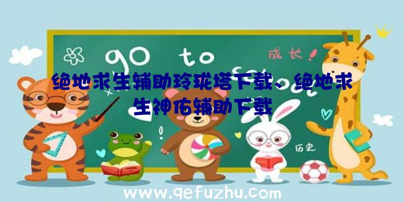 绝地求生辅助玲珑塔下载、绝地求生神佑辅助下载