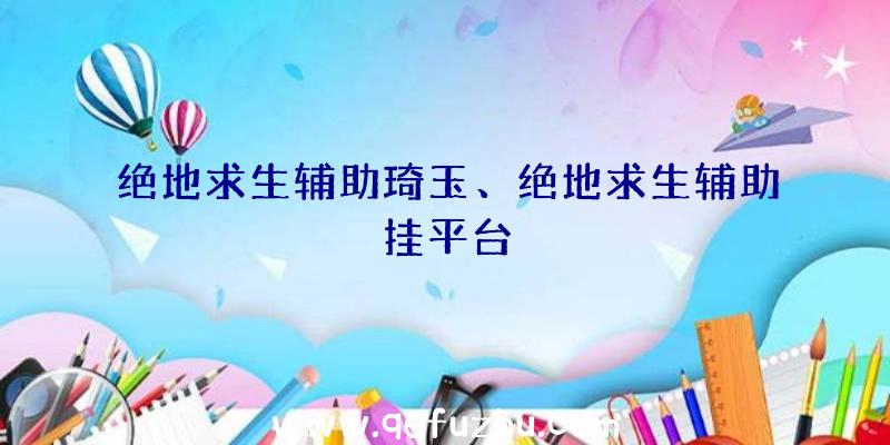 绝地求生辅助琦玉、绝地求生辅助挂平台