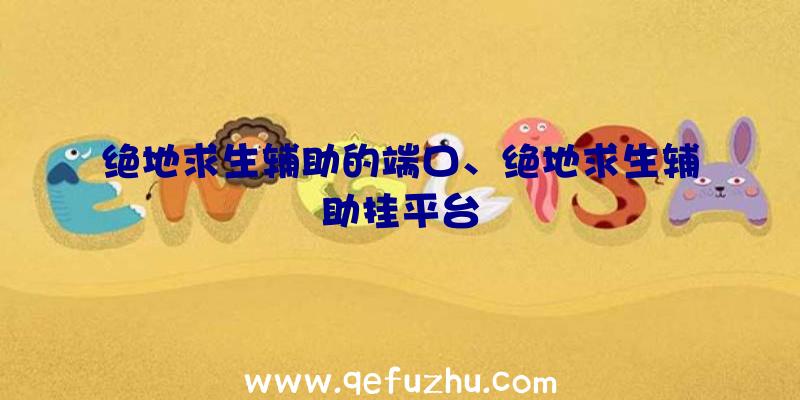 绝地求生辅助的端口、绝地求生辅助挂平台