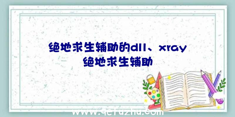 绝地求生辅助的dll、xray绝地求生辅助