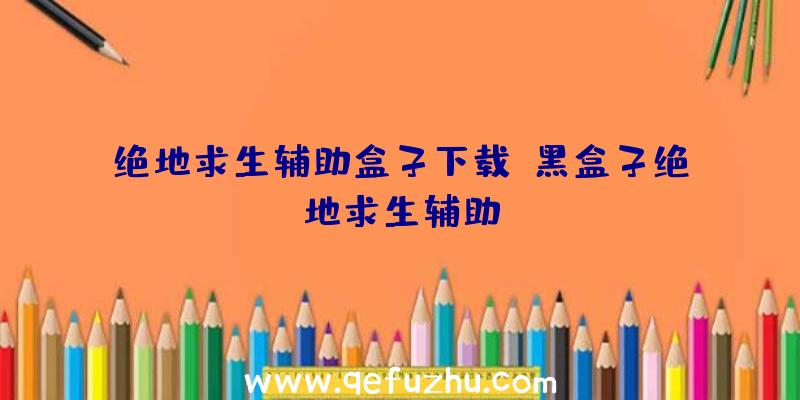 绝地求生辅助盒子下载、黑盒子绝地求生辅助