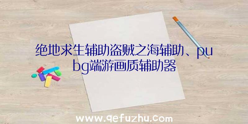 绝地求生辅助盗贼之海辅助、pubg端游画质辅助器