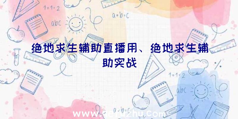 绝地求生辅助直播用、绝地求生辅助实战