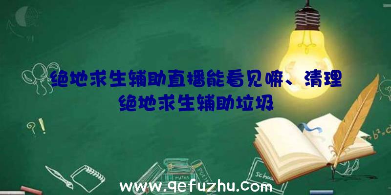 绝地求生辅助直播能看见嘛、清理绝地求生辅助垃圾