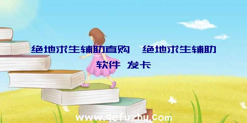 绝地求生辅助直购、绝地求生辅助软件