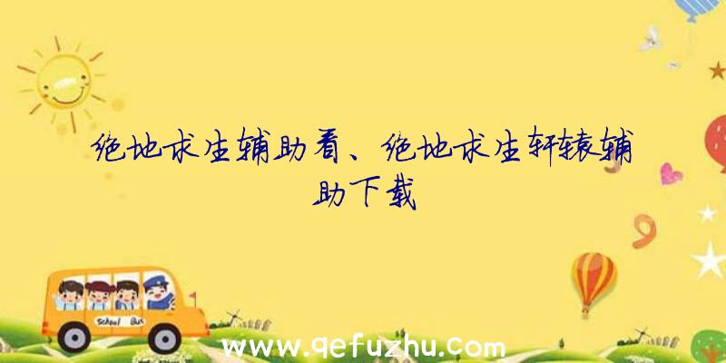 绝地求生辅助看、绝地求生轩辕辅助下载