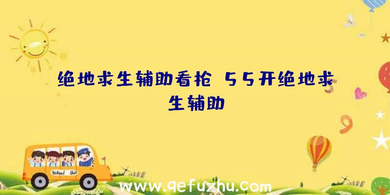 绝地求生辅助看枪、55开绝地求生辅助