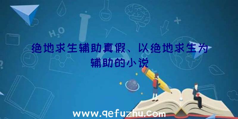 绝地求生辅助真假、以绝地求生为辅助的小说