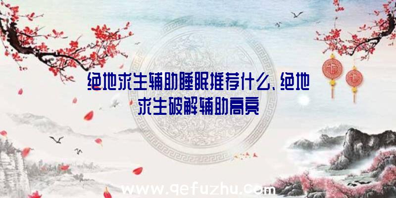 绝地求生辅助睡眠推荐什么、绝地求生破解辅助高亮