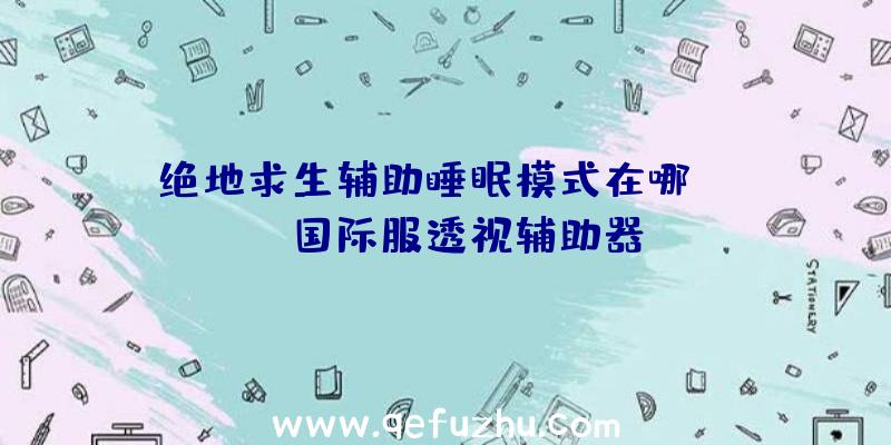 绝地求生辅助睡眠模式在哪、pubg国际服透视辅助器