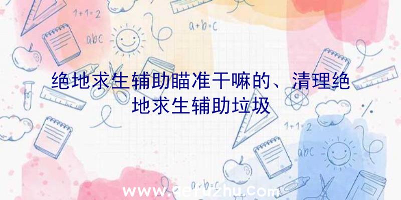 绝地求生辅助瞄准干嘛的、清理绝地求生辅助垃圾