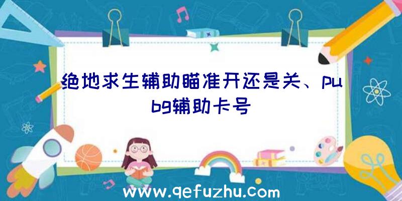 绝地求生辅助瞄准开还是关、pubg辅助卡号