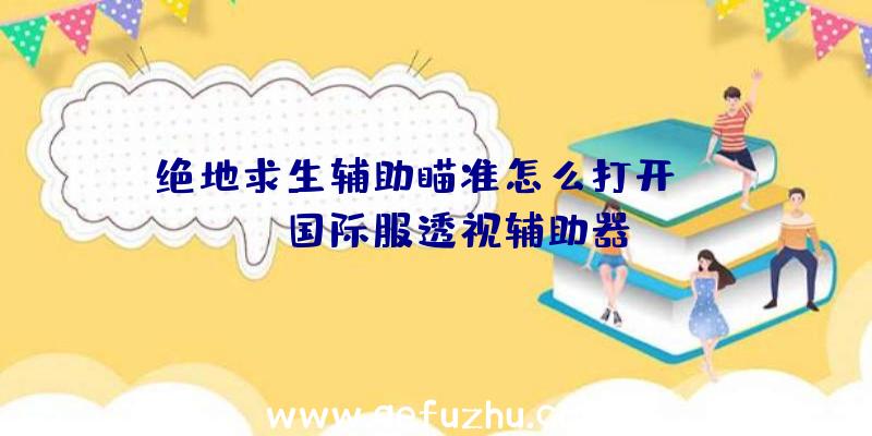 绝地求生辅助瞄准怎么打开、pubg国际服透视辅助器