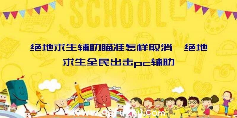 绝地求生辅助瞄准怎样取消、绝地求生全民出击pc辅助