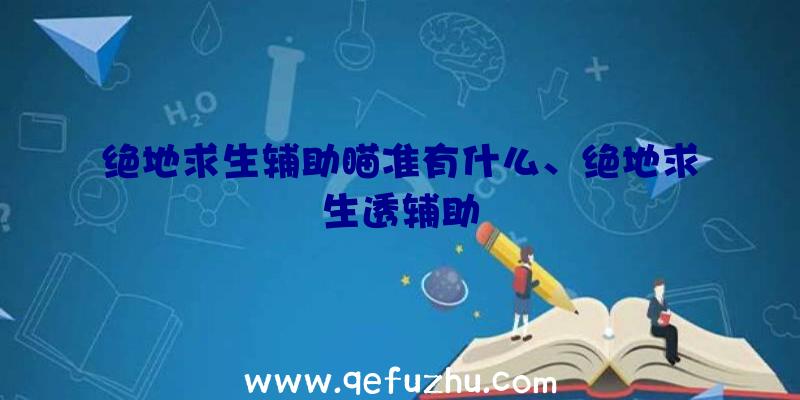 绝地求生辅助瞄准有什么、绝地求生透辅助