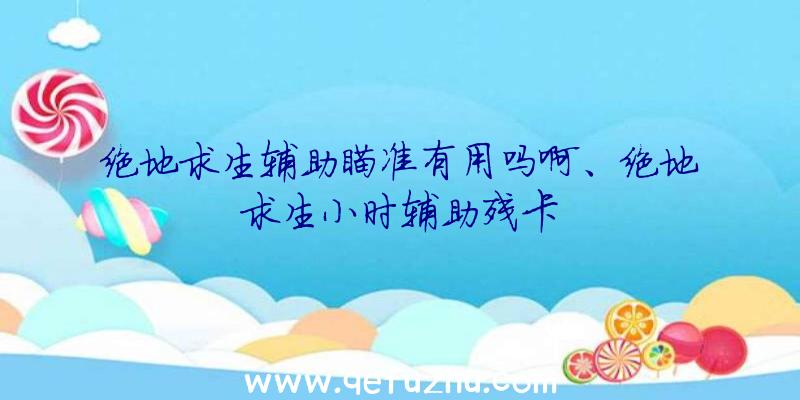 绝地求生辅助瞄准有用吗啊、绝地求生小时辅助残卡