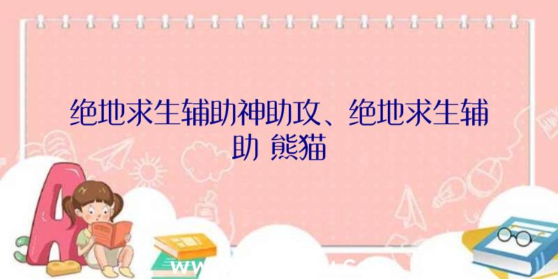 绝地求生辅助神助攻、绝地求生辅助