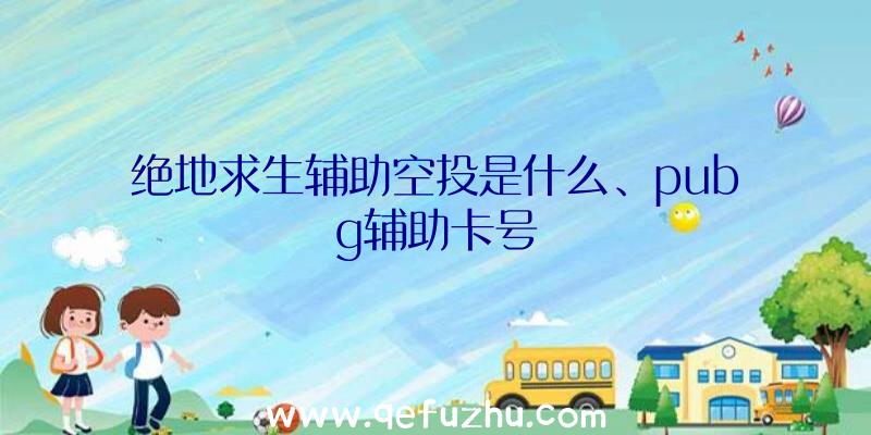 绝地求生辅助空投是什么、pubg辅助卡号