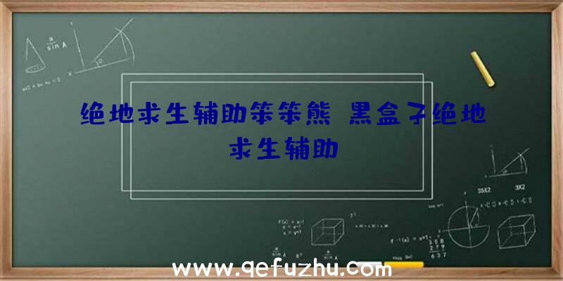 绝地求生辅助笨笨熊、黑盒子绝地求生辅助