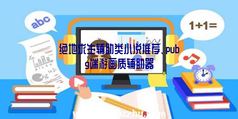 绝地求生辅助类小说推荐、pubg端游画质辅助器