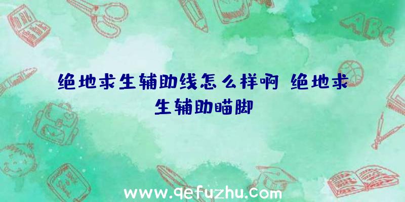 绝地求生辅助线怎么样啊、绝地求生辅助瞄脚