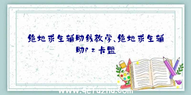 绝地求生辅助线教学、绝地求生辅助fz卡盟