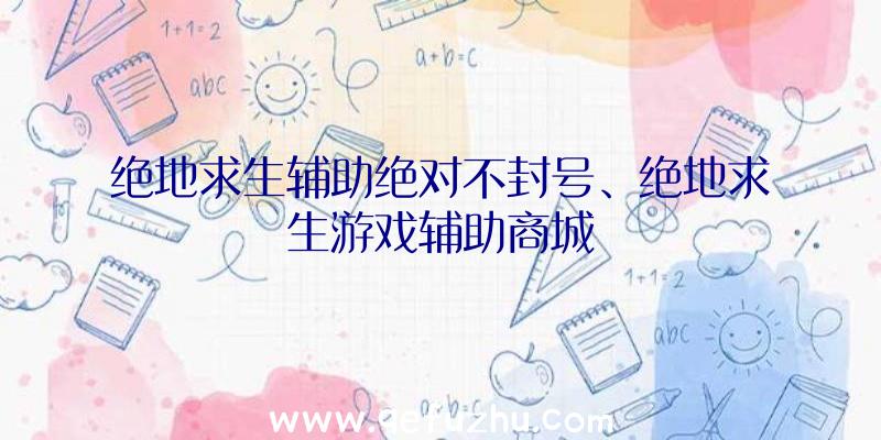 绝地求生辅助绝对不封号、绝地求生游戏辅助商城